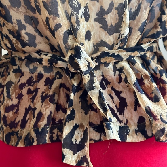 Vintage Anne Pinkerton Sheer Animal Print Leopard Blouse SZ S Good Condition - Picture 8 of 13